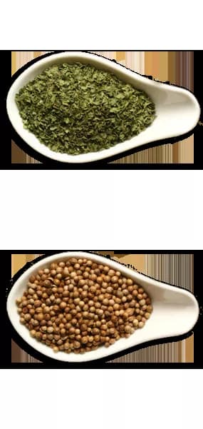 Best Indian Restaurant